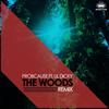 The Woods[feat. Lil Dicky] (Remix|Explicit) - ProbCause&Lil Dicky