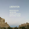 Liberation - Rocco DeLuca&Jim Wilson&Johnny Shepherd&Seth Ford-Young