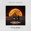 Without You (Chris Bravo Remix) - TIGER SMTH&SevenEver&Chris Bravo