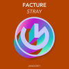 Stray - Facture