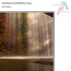 Diving In Supreme Chill (Original Mix) - XLR NAGH