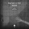 Pulsyr (Rraph Remix) - Pacius Elter&Rraph