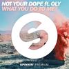 What You Do To Me - Not Your D**e&Oly