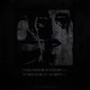 HOLESWHEREMYEYESWERE/VOIDWHEREMYHEARTWAS (Explicit) - Kasatka GX