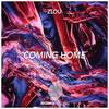 Coming Home (Original Mix) - ZLOU