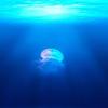 Whispers From The Sea - Electus
