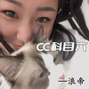 金克丝的含义就是金克丝 (DJ版) - 浪帝