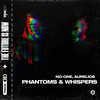 Phantoms & Whispers (Extended Mix) - No-One&Aurelios&Epic247