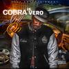 Tryna Get It(feat. Mo) (Explicit) - Cobra iL Vero&Mo