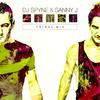 Samba (Tribal Mix) - DJ Spyne&Sanny J