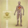 Be Glorified(feat. Chris Cobbins) - Shai Linne&Chris Cobbins