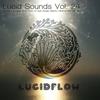 Lucid Sounds, Vol. Twenty Four Deep Flow (Continuous DJ Mix) - Mrs. Robot