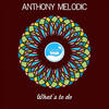 What's To Do (Original Mix) - Anthony Melodic