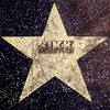 Everyones a Star - Sikk