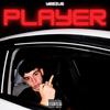 Player (Explicit) - Yeezvs&Fray