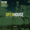Sky's Fall (Original Mix) - Faucon
