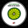 Down To The House - Enzo Amoruccio