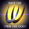 Open The Door (Original Mix) - Goana Toga