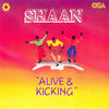 The Kicking Mix - Shaan