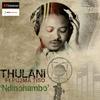 Ndinohambo - Thulani&Phu2ma Tiso