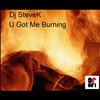 U Got Me Burning (NuDiscoMix) - Steve K