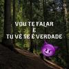 VOU TE FALAR E TU VÊ SE É VERDADE (feat. DJ AG O GRINGO & DJ 2D DO PARAISO) (Explicit) - dj guizim&DJ AG o Gringo&Dj 2d Do Paraiso