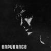 Endurance - Brett Raio