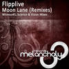 Moon Lane (Witness45 Remix) - Katrin Souza&Witness45