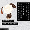 我不想失去她 - 陌小云&马洋