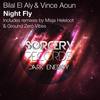 Night Fly (Misja Helsloot Remix) - Bilal El Aly&Vince Aoun