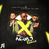 X Pal Aguao (Remix) - Musicologo The Libro&Kings Evolucion