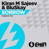 Sorrow (Original Mix) - kiran m sajeev&BluSkay