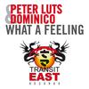 What a Feeling (Radio Edit) - Peter Luts&Dominico