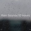 Ambient Sounds - Meditation Rain Sounds&Relaxing Rain Sounds&BodyHI