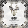 Things You Know (Th Moy Remix) - SHMN&John M