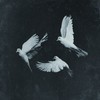 和平鸽 (Peace Song) - 鹿奇&Shooter