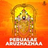 Perualae Aruzhazhaa - Jai Keerthi&Mukesh Mohamed