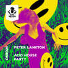 Strobelights (Original Mix) - Peter Lankton
