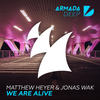 We Are Alive (Extended Mix) - Matthew Heyer&Jonas Wak