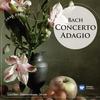 II. Adagio - Andrei Gavrilov&Academy of St Martin in the Fields&Neville Marriner&John Constable