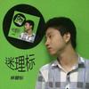 进军慕尼黑 - 林键标