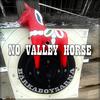 No valley horse - Bärkaboysarna