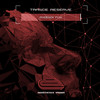 Phoenix Fly (Extended Mix) - Trance Reserve