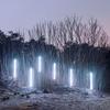 New Moon - Luca Cociuffo