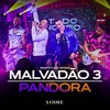 Malvadão 3 / Pandora (Explicit) - Grupo Tudo Nosso