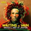 Waiting in Vain (Bonnot Remix DJ Edit) - Bonnot&Fabrizio Sotti&Shaggy&RES