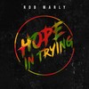 Hope in Trying (Longsy D Reggae Mix) - Rob Marly