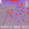 Wish It Was You - Audien&Cate Downey
