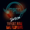 What Are We Feeling - Deep em&Dpm