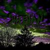 Suppression (Explicit) - Sheehan